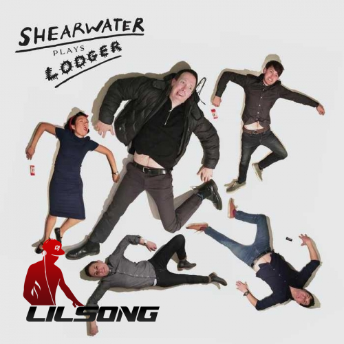 Shearwater - Shearwater Plays Lodger